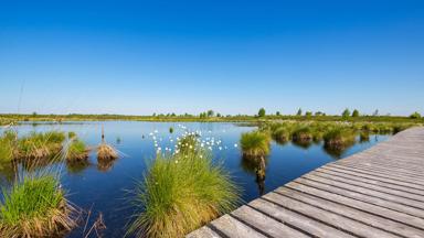 belgie_luik_eupen_hoge-venen_natuur_wandelpad_ven_GettyImages-486717210