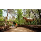 Zomeractie DierenPark Amersfoort Regulier