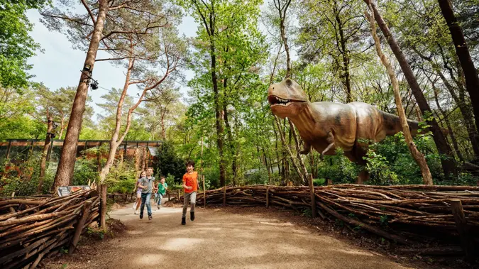 Zomeractie DierenPark Amersfoort Regulier