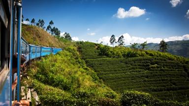 Sri Lanka_Nuwara Eliya_treinreis-theeplantage-persoon_shutterstock