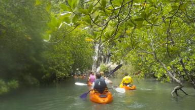 thailand_krabi_kajak_mangrove_groep_fotowedstrijd