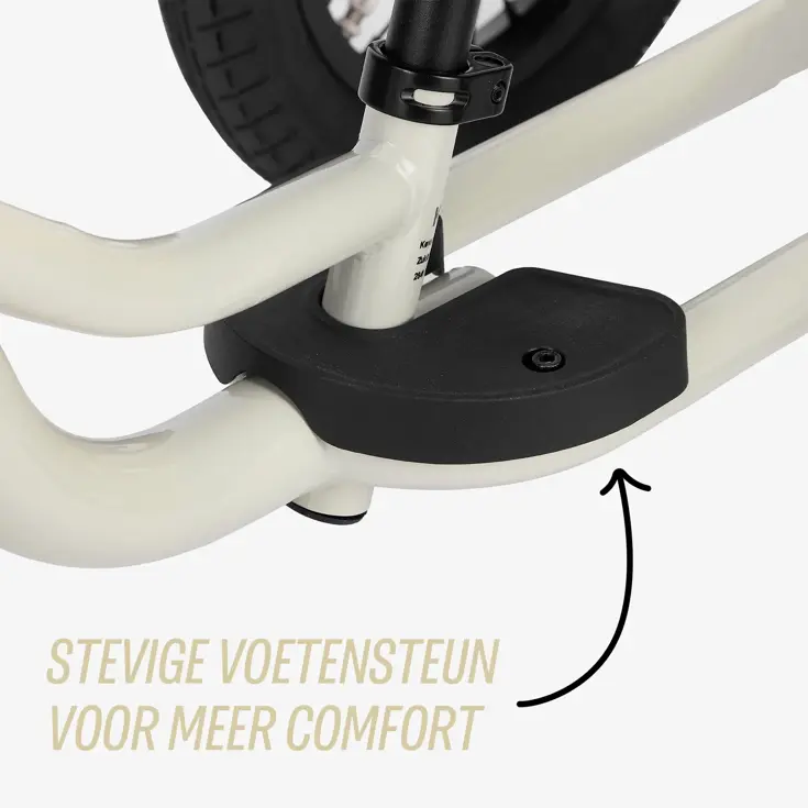2-in-1 Loopfiets Driewieler met Duwstang