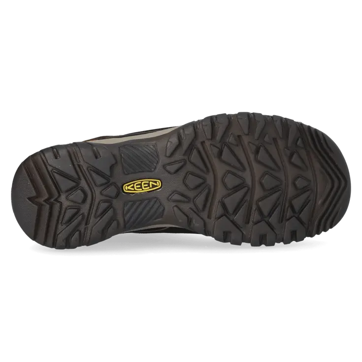 Targhee IV - Wandelschoenen - Heren