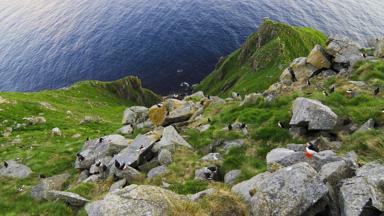 noorwegen_runde-eiland_papegaaiduiker_nest_rots_klif_getty