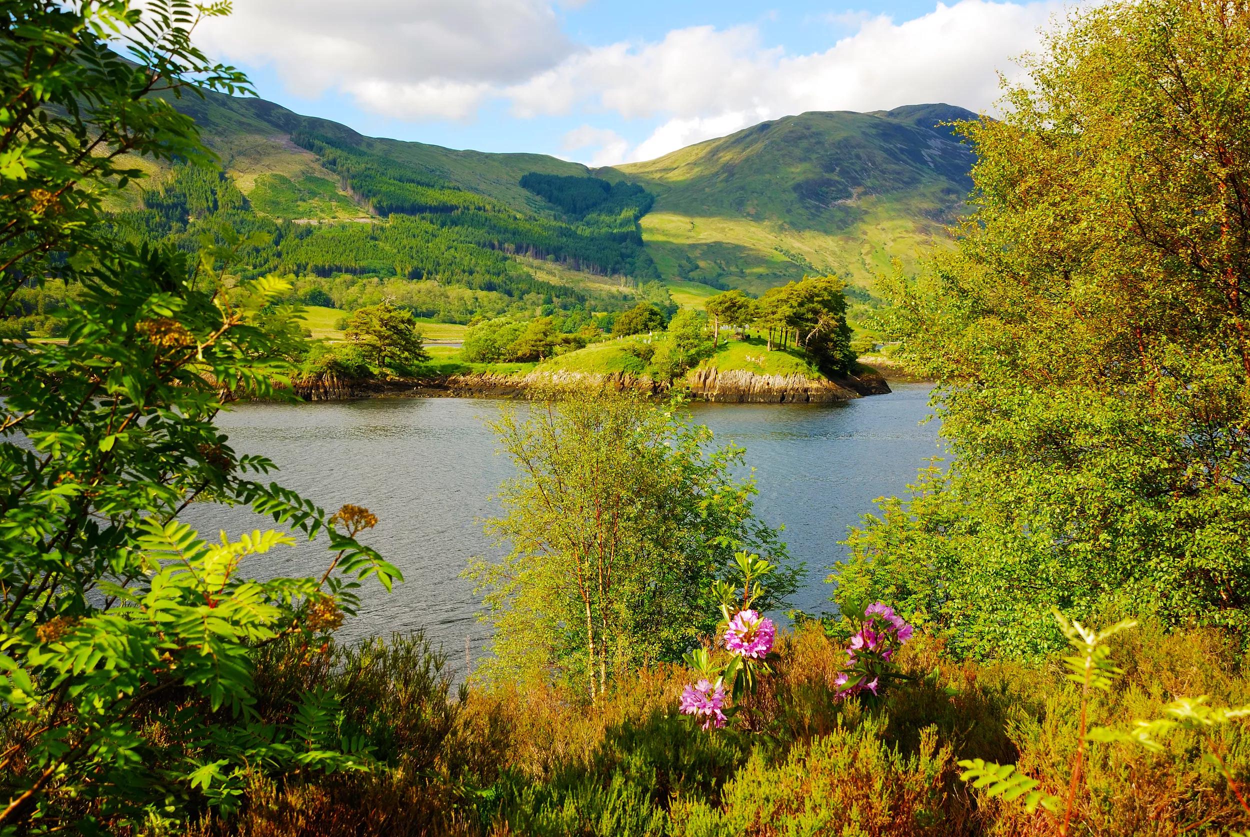 Lush foliage and summer flowers surround Loch Lomond, Argyll, Scotland, Europe.