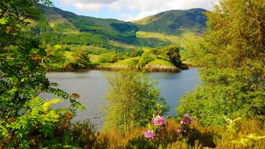 Lush foliage and summer flowers surround Loch Lomond, Argyll, Scotland, Europe.