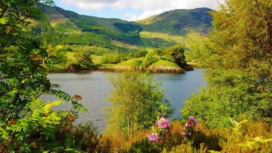 schotland_argyll_lock-lomond_meer_bloemen_heuvels_GettyImages-1018159626