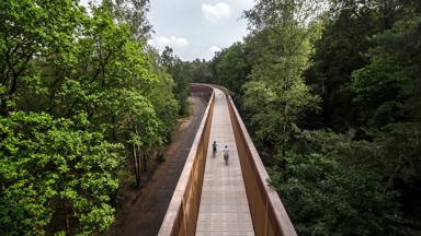 België_Vlaanderen_Limburg_fietsreizen_Mechelse heide_fietsbrug_Fietsrelax_h