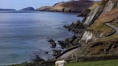 Ierland-County-Kerry-schiereiland-Dingle-Coumeenole-kustweg