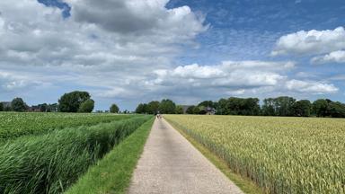 Nederland_Groningen_Fietsrondreis_Groninger_landschap