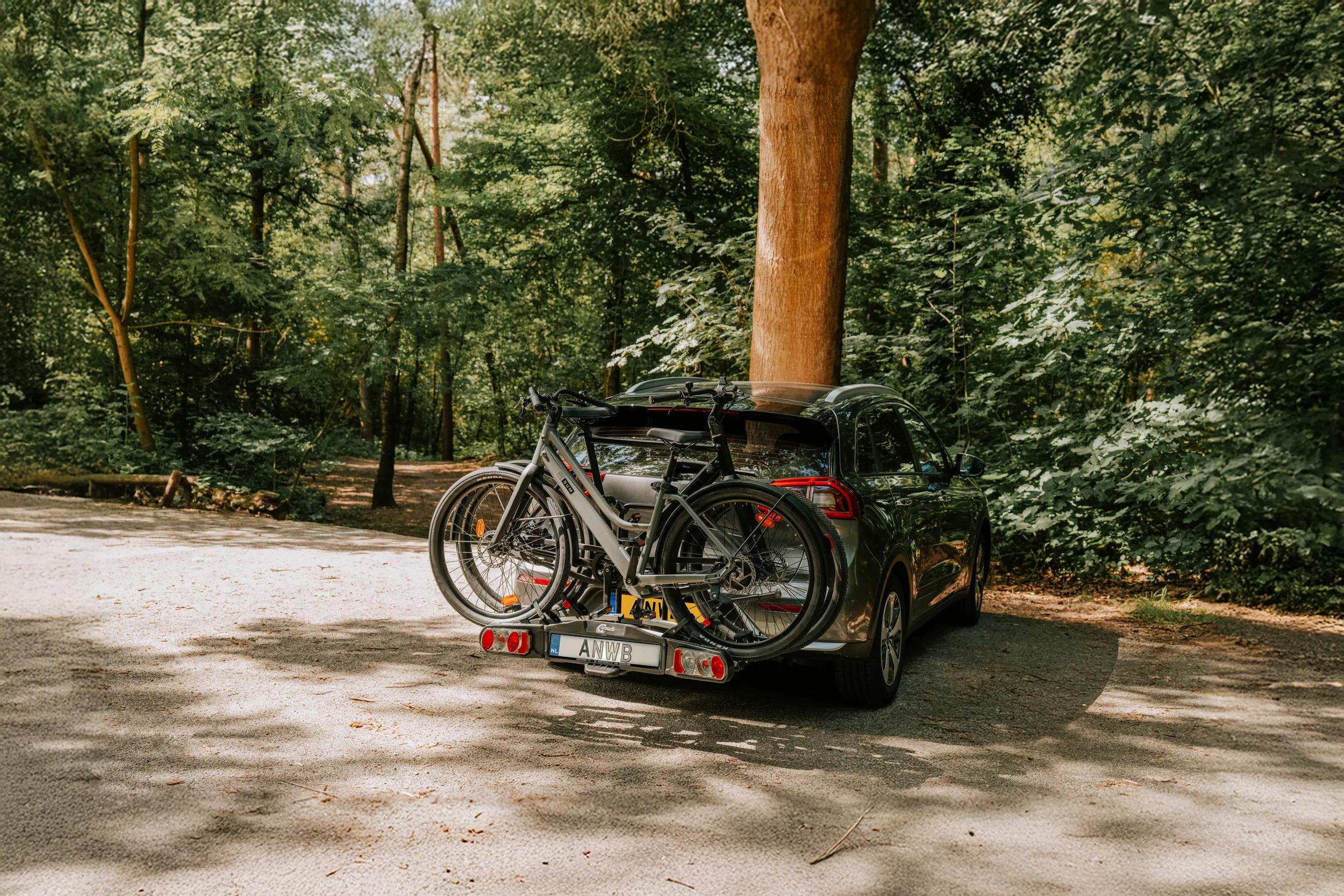 Fietser in het bos
