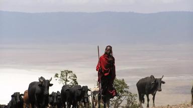 tanzania_ngorongoro_lokale-bevolking_masaiveehouder_w.jpg