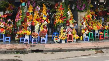 vietnam_ho-chi-minh-city_saigon_ben-thanh-markt_bloemen_f.jpg