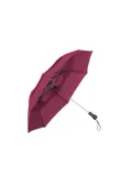 Kleine stormparaplu