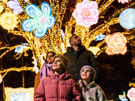 Impressie van Safaripark Beekse Bergen - Light Safari
