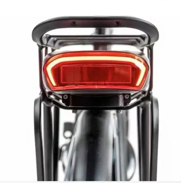 Stella Type 3 vervangende fietsaccu | 36V | 17.5Ah