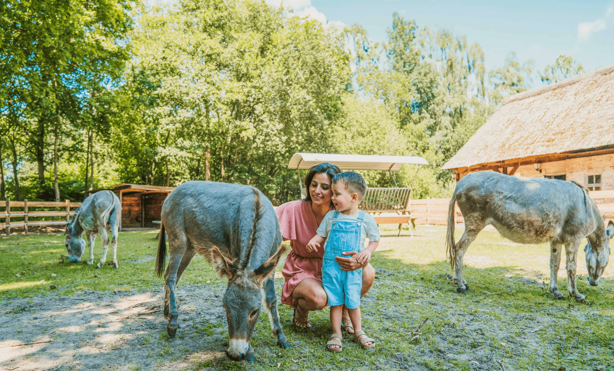 Weekend, midweek Noord-Brabant - vakantiepark Dierenbos afbeelding