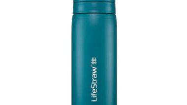 Lifestraw Go - RVS Waterfles 500ml
