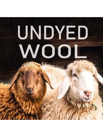 Trui heren NLS Petal