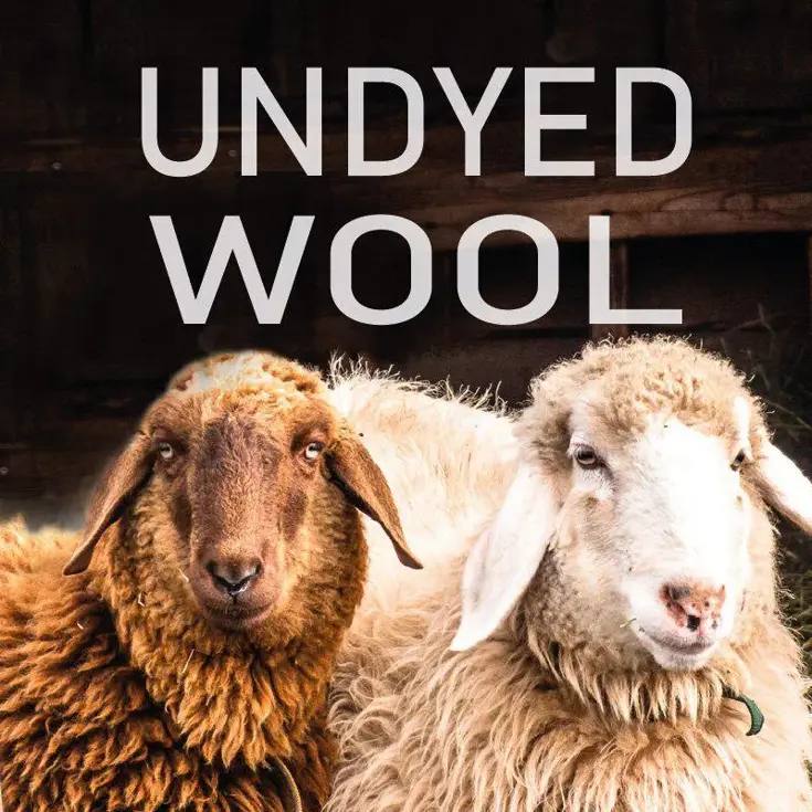 Trui heren NLS Petal