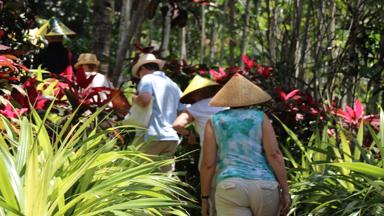 indonesie_java_groep_reizigers_wandelen_plantage_w.jpg