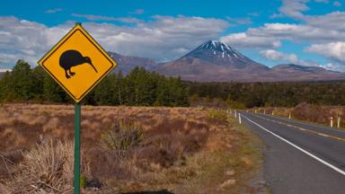 nieuw-zeeland_tongariro national park_vulkaan_b