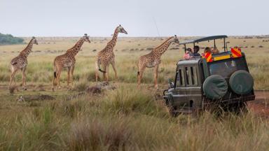 kenia_algemeen_gamedrive_giraf_safari_groep_b.jpg