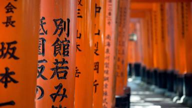 japan_kyoto_fushimi-inari_torri-poorten_tempel_b