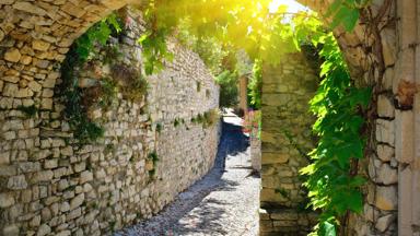 frankrijk_provence-alpes-cote-d-azur_seguret_poort_steeg_klimop_shutterstock_299195834