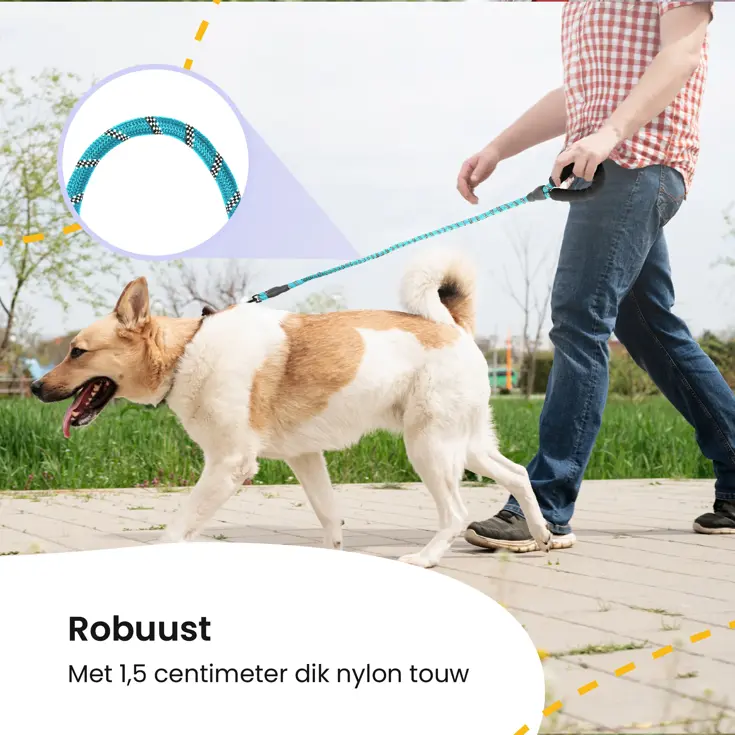 Reflecterende Hondenriem 3m