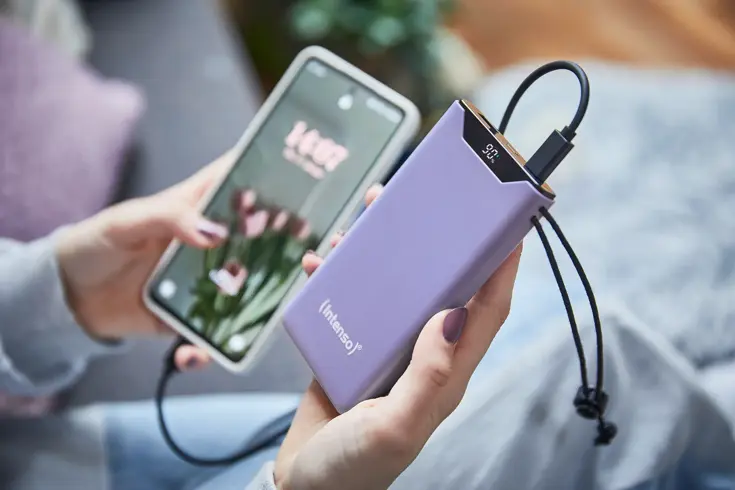 F10000 Powerbank 10.000 mAh