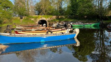 Ierland-county-kerry-killarney-bij-ross-castle (2)