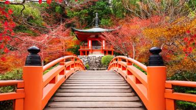 japan_kyoto_kyoto_rondreis-japan_daigoji-tempel_oranje-brug_herfst_shutterstock