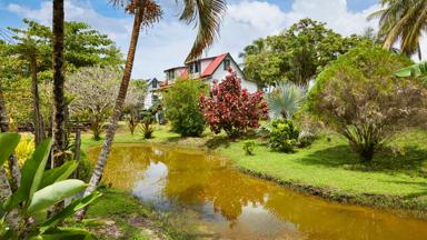 suriname_paramaribo_frederiksdorp_vakantie-paramaribo_wit-huis_vijver_tuin_palmboom_tropisch_shutterstock_1065803252