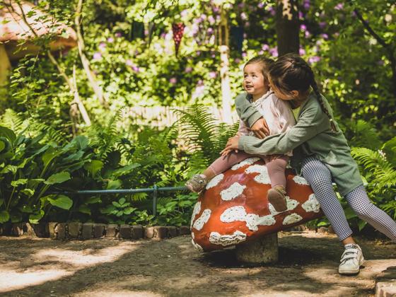 Impressie van ANWB Ledendag in de Efteling