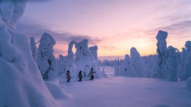 @portraitsoflapland