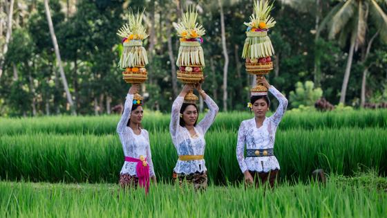 Indonesië, Bali - GettyImages-1705639973