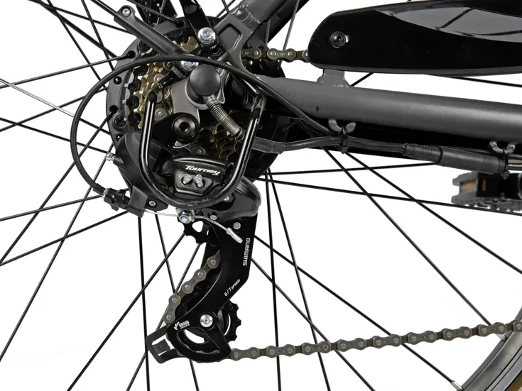 L' Amant Eco Bg e-bike Villette