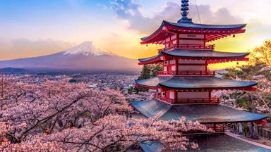 japan_honshu_tokyo_mount-fuji_chureito-pagode_lente_kersenbloesem_toren_shutterstock_1365071888