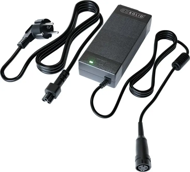 Lader geschikt voor Gazelle Innergy 48V2A