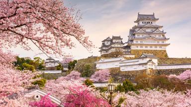 japan_honshu_himeji_himeji-castle_sakura_kersenbloesem_kasteel_shutterstock_1629019978