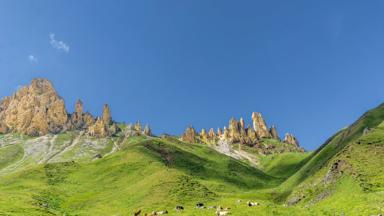 italie_zuid-tirol_schlern_berg_landschap_heuvel_gras_koe_getty