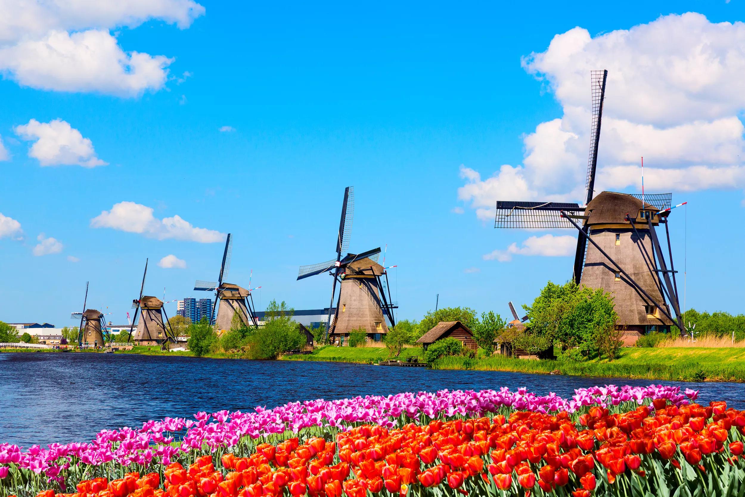 https://merk.anwb.nl/transform/e8fe2d43-63d3-4079-958e-6cae15c990ad/nederland_zuid-holland_kinderdijk_molens_tulpen_shutterstock-1436498840