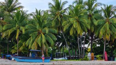 costa rica_guanacaste_samara_strand_surfen_palmboom_f