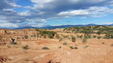 colombia_neiva_desierto-de-la-tatacoa_woestijn_cactus_10_f
