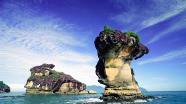 maleisie_borneo_sarawak_bako-national-park_rotsen_cobra-rock_1_a