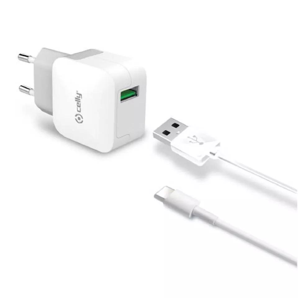 Celly 2.4A USB-C  Thuislader  Wit