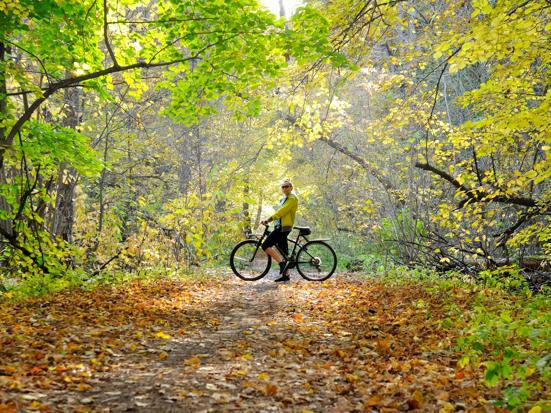 Fietsen in de herfst