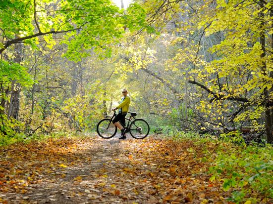 Fietsen in de herfst