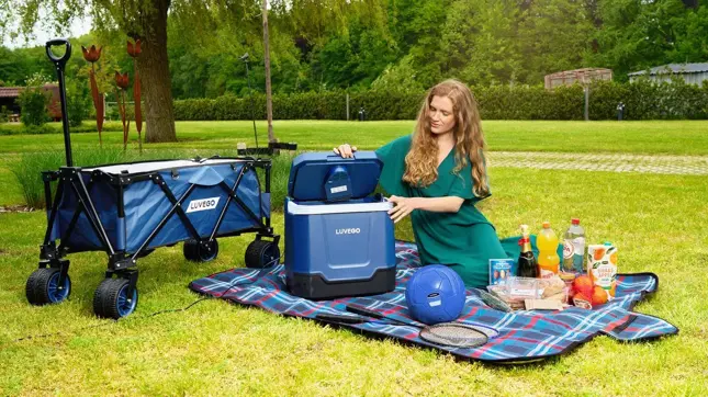 Luvego - Opvouwbare Bolderkar - 100KG